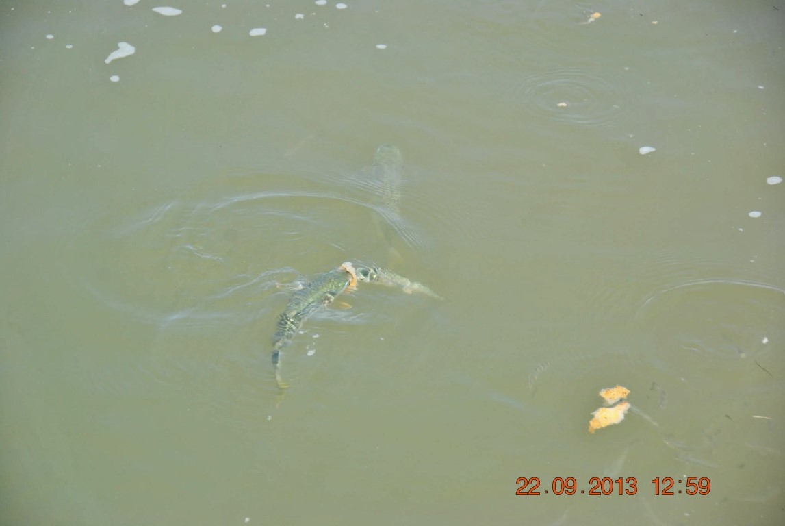 imagini hotel TITANIC BELEK